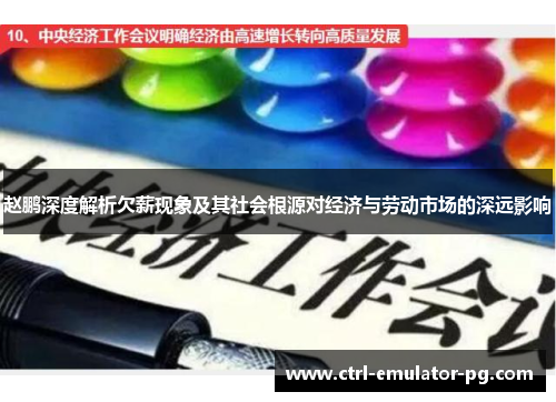 赵鹏深度解析欠薪现象及其社会根源对经济与劳动市场的深远影响